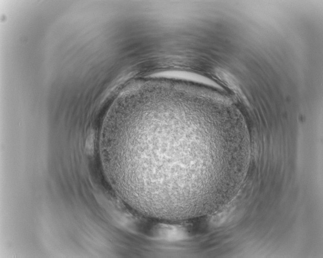 X0000086990167200704231854