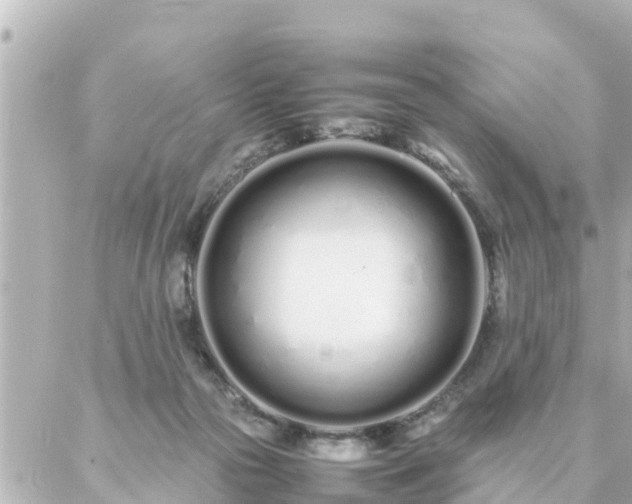 X0000086990169200704231854