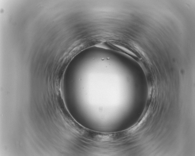 X0000086990170200704231854