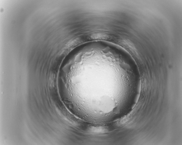 X0000086990171200704231854