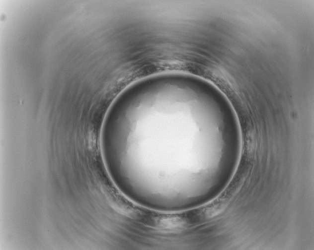 X0000086990173200704231854