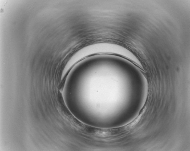 X0000086990174200704231854