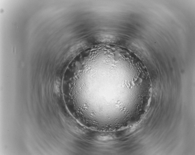 X0000086990175200704231854