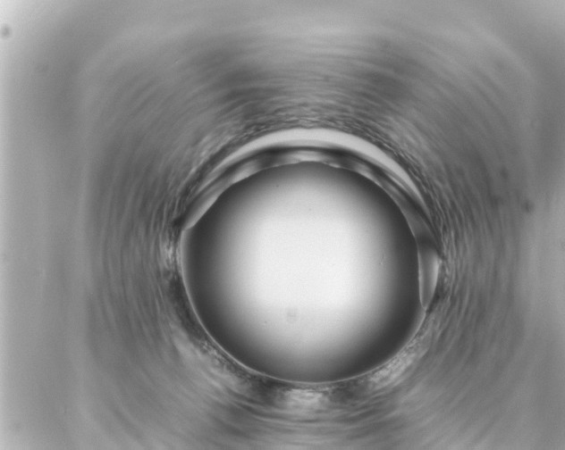 X0000086990176200704231854