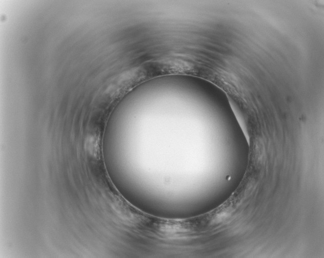 X0000086990177200704231854