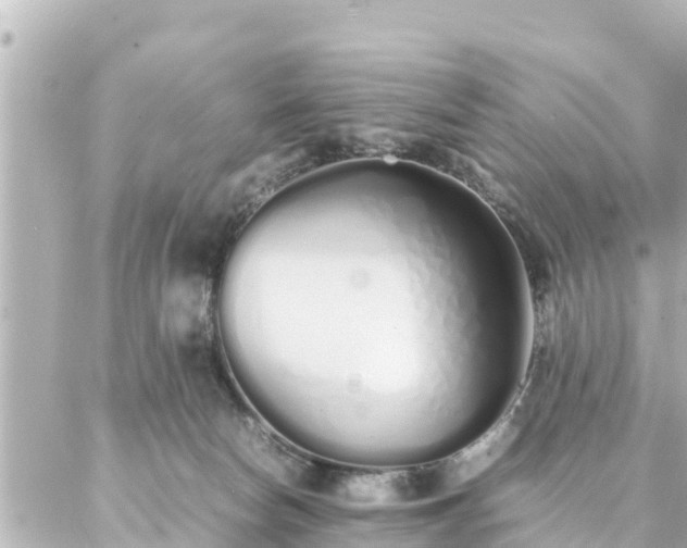 X0000086990178200704231854