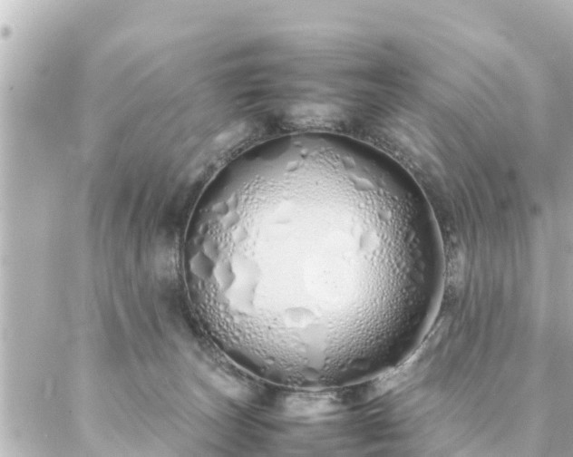 X0000086990179200704231854