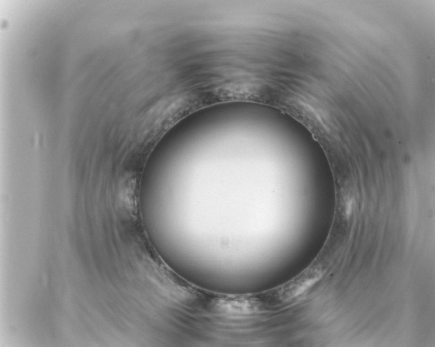 X0000086990181200704231854