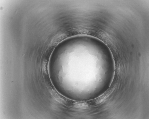 X0000086990185200704231854