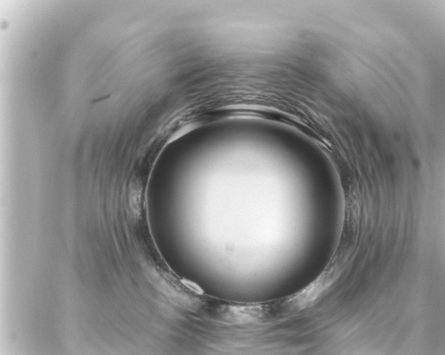 X0000086990188200704231854