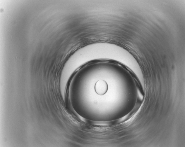 X0000086990190200704231854