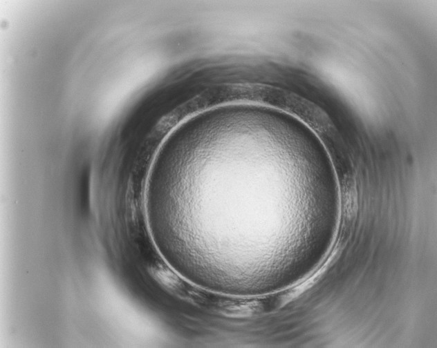 X0000086990191200704231854