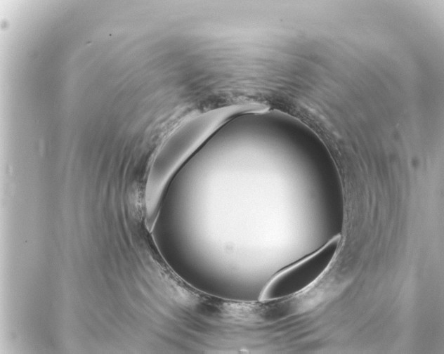 X0000086990192200704231854