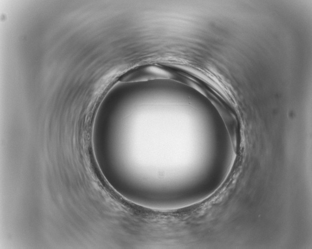 X0000086990193200704231853