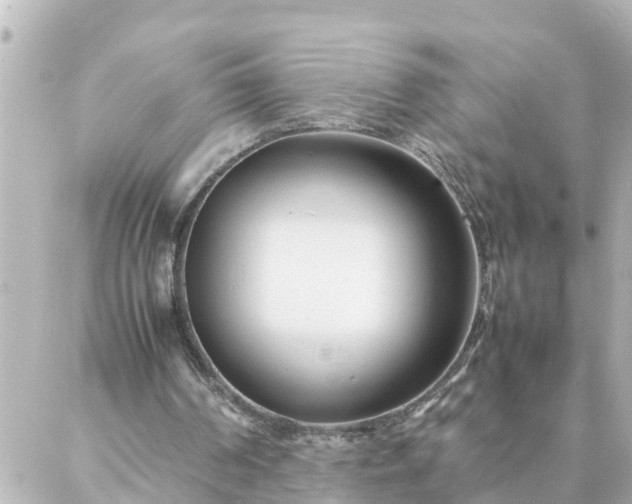 X0000086990194200704231853