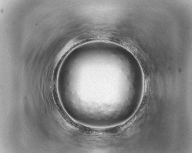 X0000086990195200704231853