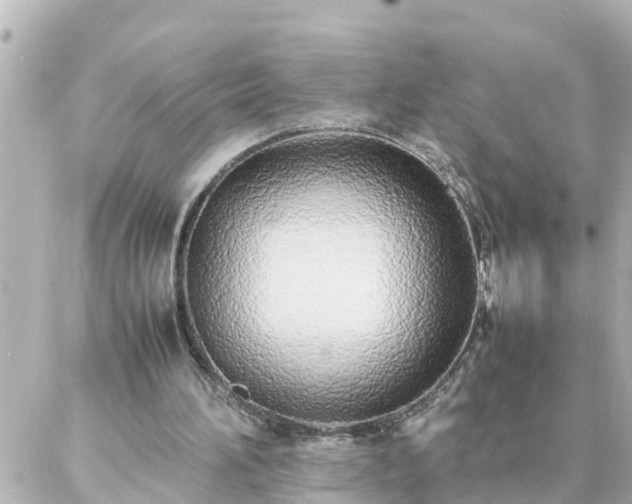 X0000086990196200704231853