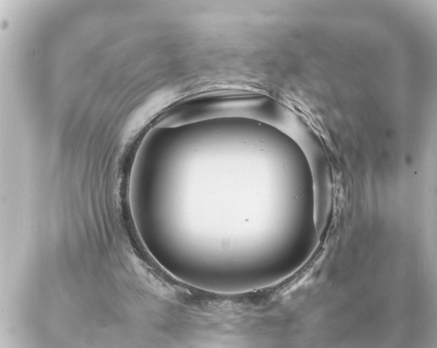 X0000086990197200704231853