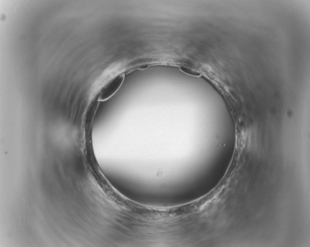 X0000086990198200704231853