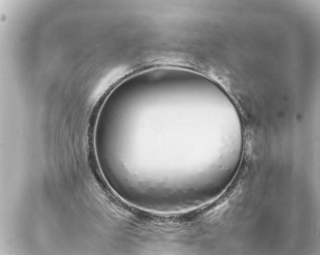 X0000086990199200704231853