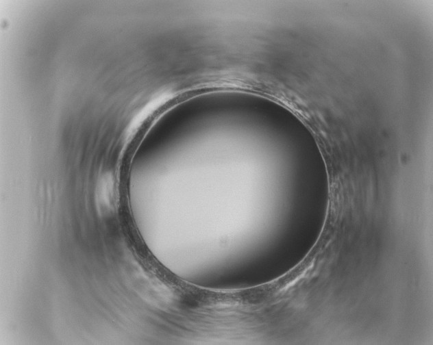 X0000086990200200704231853