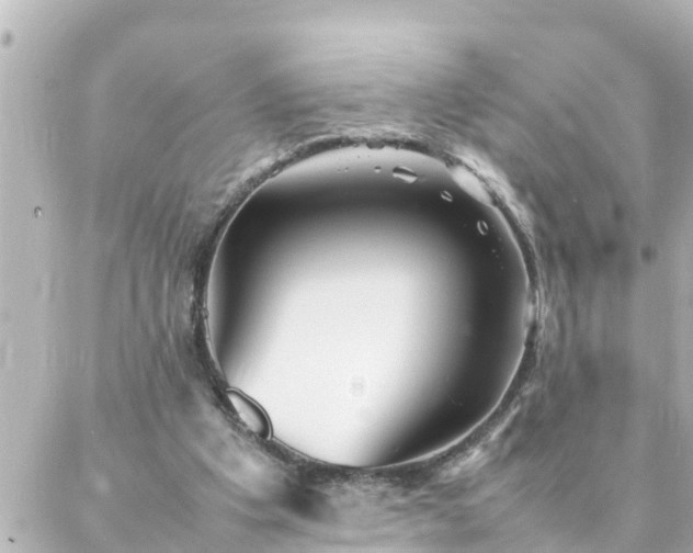 X0000086990201200704231853