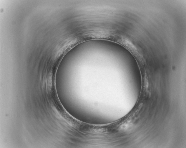 X0000086990202200704231853