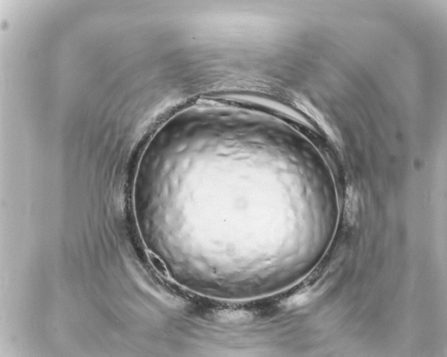 X0000086990203200704231853