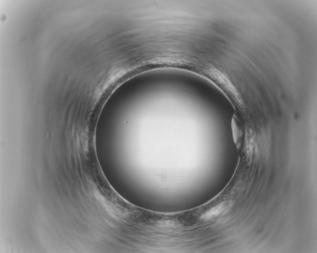 X0000086990204200704231853