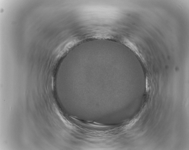 X0000086990205200704231853