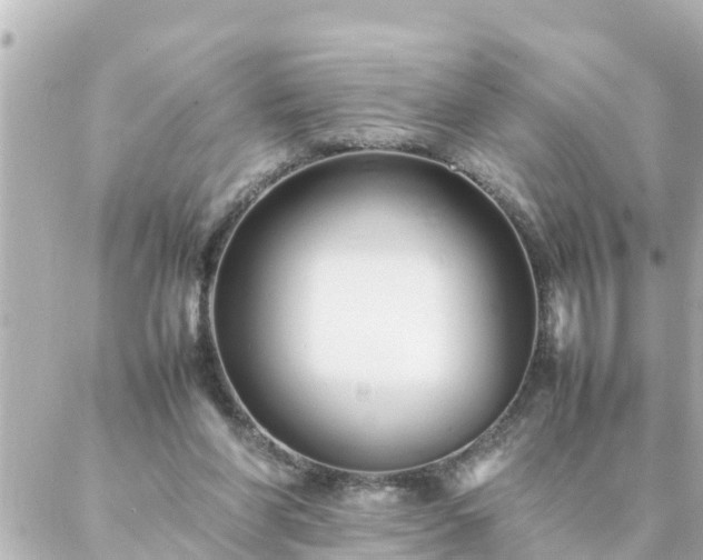 X0000086990206200704231853