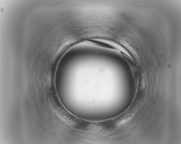 X0000086990207200704231853