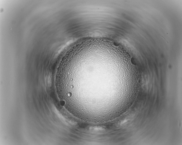 X0000086990208200704231853