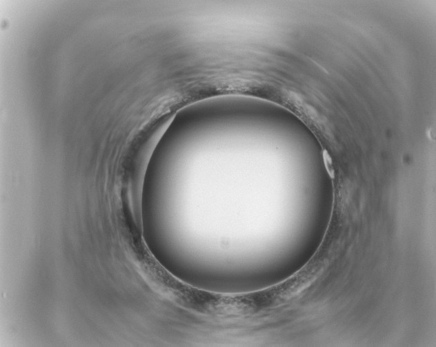 X0000086990209200704231853