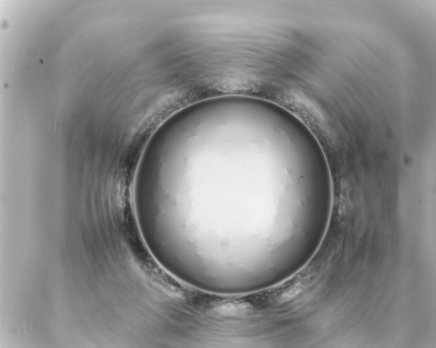 X0000086990210200704231853