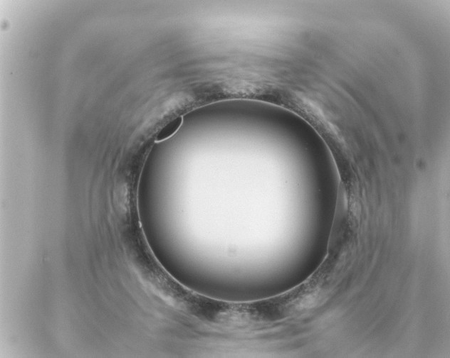 X0000086990211200704231853