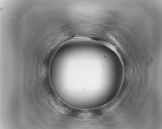 X0000086990213200704231853