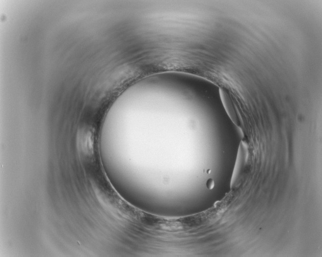 X0000086990214200704231853