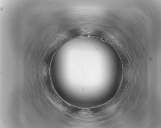 X0000086990215200704231853