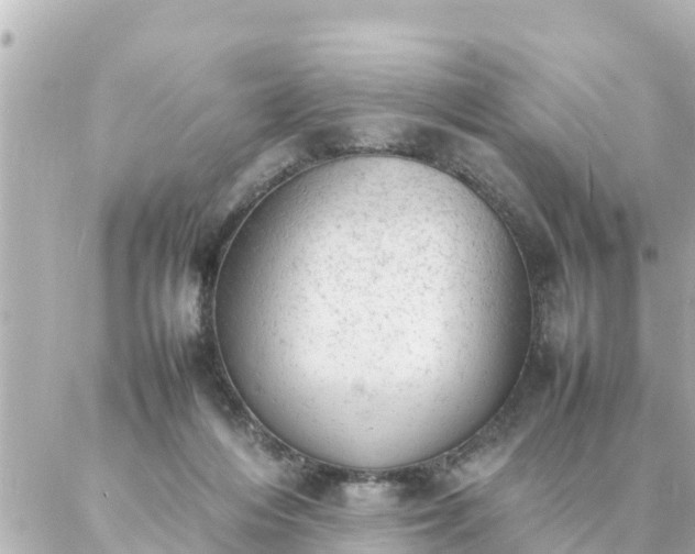 X0000086990216200704231853