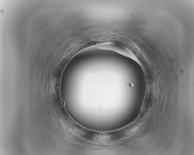 X0000086990217200704231853