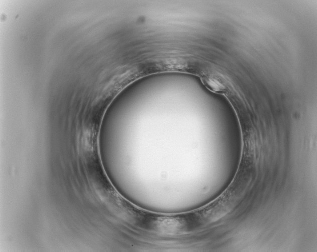 X0000086990218200704231853