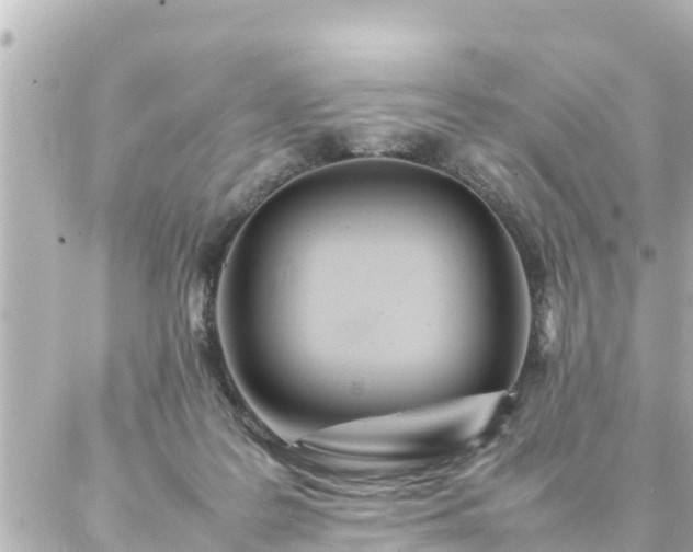 X0000086990219200704231853