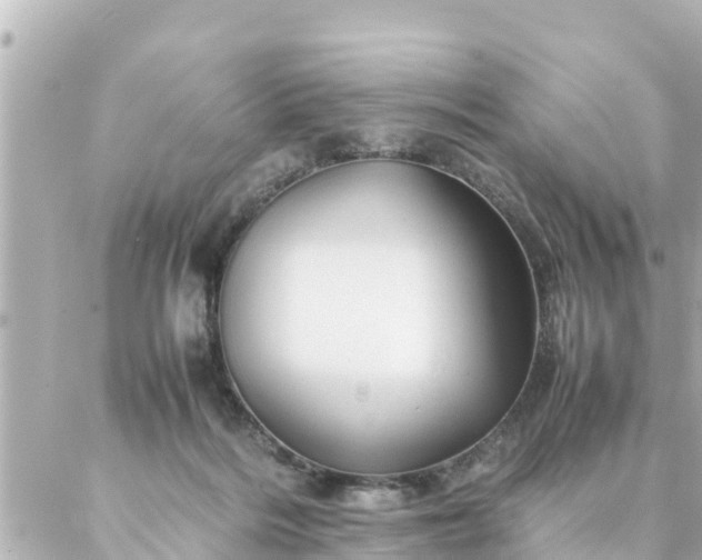 X0000086990220200704231853