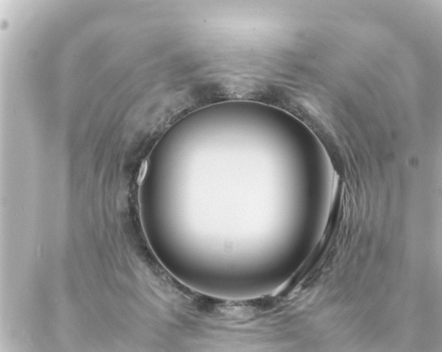 X0000086990221200704231853