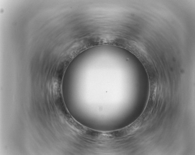 X0000086990222200704231853