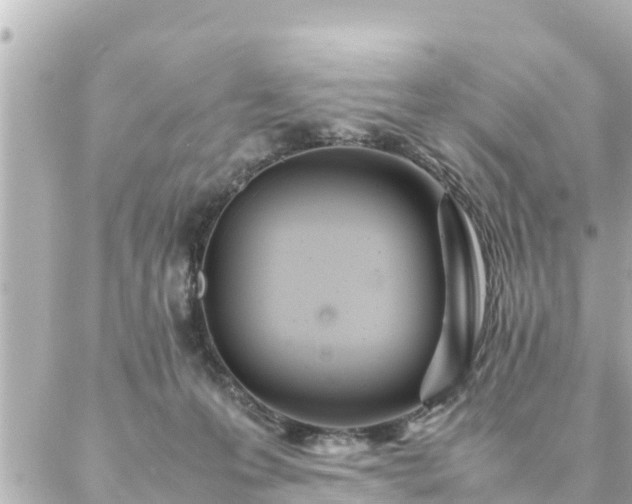 X0000086990223200704231853