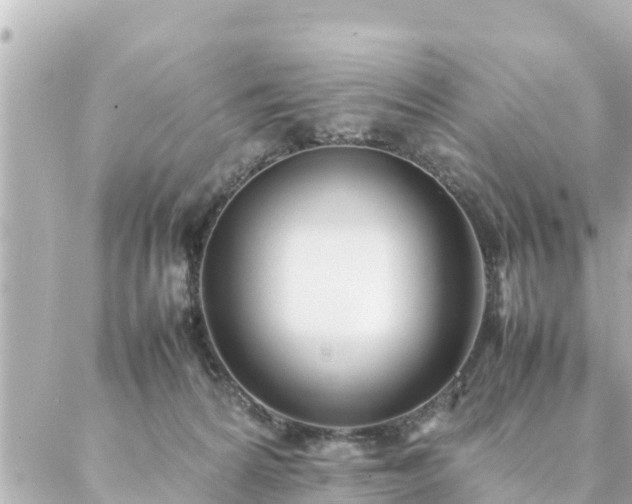 X0000086990224200704231853