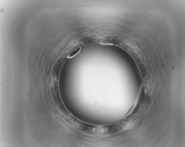 X0000086990225200704231853