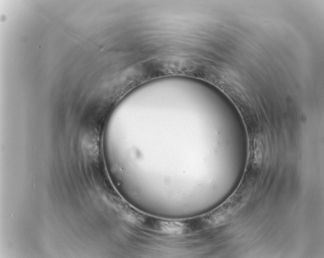 X0000086990226200704231853